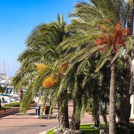 Centro Apartment Dénia