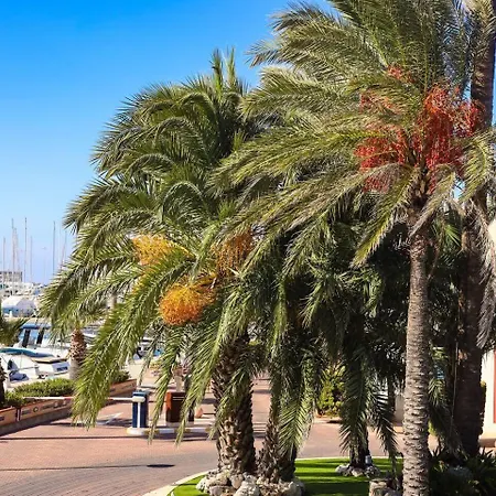 Appartamento Centro Dénia